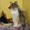 Отзыв от Дина Наумова